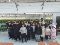 20260108 딸기 농장 체험 - 문화 - 성복 행복한 홈스쿨 20260108 딸기 농장 체험