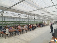 20250227_딸기농장체험 - 문화 - 성복 행복한 홈스쿨 20250227_딸기농장체험