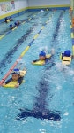 5,7세반 수영 수업 10월 21일 - 즐거운 몸놀이, 숲놀이 - YMCA 다산아기스포츠단 5,7세반 수영 수업 10월 21일