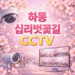 하동 십리벚꽃길 CCTV 숫자로만 볼 수 있다고 착각했던 부분, 군청... 숫자로만 볼 수 있다고 착각했던 부분, 군청 확인·실시간 화면·차이 정리