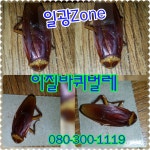 Zone 080-300-1119 [구미/김천/선산/상주/안동]구미해충방역 김천해충방역 상주해충박멸 안동해충퇴치 구미해충퇴치 구미쥐방역... 