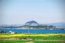6월24일-30일(6박7)일/제주도5개섬투어/추자도.마라도.가파도.비양도.차귀도 - 6월24일-30일(6박7)일/제주도5개섬투어/추자도,마라도...