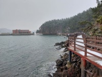 #태안솔향기길(1코스) - 기타산행앨범 - 안성영원산악회 #태안솔향기길(1코스)