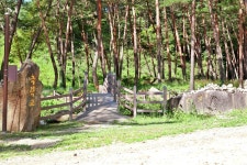 영월 구봉대산 정기산행 을마치고 - 정기산행앨범 - 안성영원산악회 영월 구봉대산 정기산행 을마치고