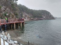 #태안솔향기길(1코스) - 기타산행앨범 - 안성영원산악회 #태안솔향기길(1코스)