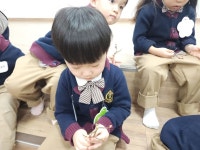 솔무지반의 첫 숲 수업!🌳 - 솔무지반 - IBS 도안동 꿈내리 유치원 솔무지반의 첫 숲 수업!🌳