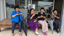 찰옥수수처럼 쫀득한 사랑 나눔 - 모니카회 - 김제 원평성당 찰옥수수처럼 쫀득한 사랑 나눔