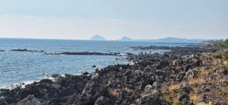 제주 올레5코스 - 번개산행 사진 - 신마포산악회 제주 올레5코스