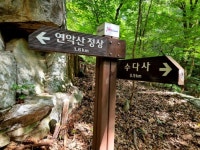 2021년 12월 2일(목) ▶[상주.구미] 기양산,수선산 제480회 산행 일정 - 정기산행 일정 - 신마포산악회 2021년 12월 2일(목) ▶[상주.구미]... 