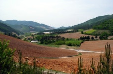 2022년 5월 26일(목) ▶［삼척］풍악산, 삿갓봉, 갈미봉 제 504회 산행 일정 - 정기산행 일정 - 신마포산악회 2022년 5월 26일(목)... 