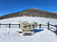 산행일정(곰배령 조침령) - 26/1/8인제천리길(곰배령) - 신마포산악회 2026년 1월 8일(목)... 12,13코스 제688회 산행일정(곰배령 조침령)