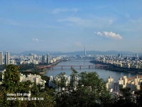 2025/10/31남산자락숲길 매봉산 - 번개산행 사진 - 신마포산악회 2025/10/31남산자락숲길 매봉산