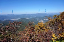 [ 정상진행 합니다] - 정기산행 일정 - 신마포산악회 2021년 7월 29일... (100대명산),수타사 산소길 제462회 산행 일정 [ 정상진행 합니다]