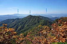 2021년 7월 29일(목) ▶[홍천] 공작산(100대명산),수타사 산소길... [홍천] 공작산(100대명산),수타사 산소길 제462회 산행 일정 [ 정상진행... 