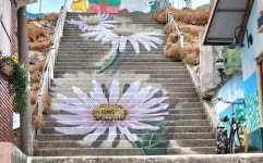 2026년 2월19일(목) ▶［경주］해파랑12길(26차) 제694회 산행일정 - 2/19 해파랑12길 - 신마포산악회 2026년 2월19일(목) ▶［경주］... 