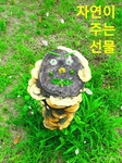 자연이 주는 선물 - ――······· 감동글 좋은글 - 너에게 편지를 자연이 주는 선물