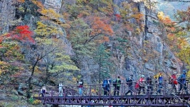 강릉 오대산 소금강계곡 ‘작은 금강산’이라고 불리는 이유 - ┌‥‥‥ 국내여행지 - 멋진 세상속 풍경 강릉 오대산 소금강계곡 ‘작은 금강산’... 