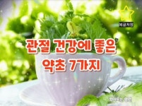 관절 건강에 좋은 약초 7가지 - ┌‥‥‥ 건강의지혜 - 멋진 세상속 풍경 관절 건강에 좋은 약초 7가지