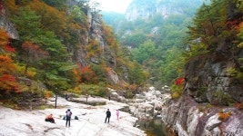 강릉 오대산 소금강계곡 ‘작은 금강산’이라고 불리는 이유 - ┌‥‥‥ 국내여행지 - 멋진 세상속 풍경 강릉 오대산 소금강계곡 ‘작은 금강산’... 