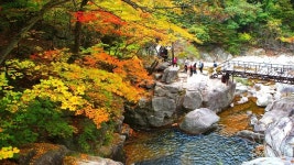 강릉 오대산 소금강계곡 ‘작은 금강산’이라고 불리는 이유 - ┌‥‥‥ 국내여행지 - 멋진 세상속 풍경 강릉 오대산 소금강계곡 ‘작은 금강산’... 