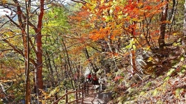 강릉 오대산 소금강계곡 ‘작은 금강산’이라고 불리는 이유 - ┌‥‥‥ 국내여행지 - 멋진 세상속 풍경 강릉 오대산 소금강계곡 ‘작은 금강산’... 