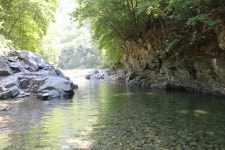 219차 정기산행 천미계곡 트레킹 - 정기산행 공지방 - 김포 등산친구들 산악회 김포 등산친구들 산악회