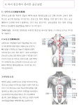 G [ 경혈지압-통증케어 ] 1_ 경혈지압 - 일반 게시판 - (사)한국바디케어운동협회 G [ 경혈지압-통증케어 ] 1_ 경혈지압