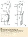 G [ 경혈지압-통증케어 ] 1_ 경혈지압 - 일반 게시판 - (사)한국바디케어운동협회 G [ 경혈지압-통증케어 ] 1_ 경혈지압