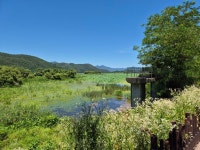 여름 나기 - 경안천 습지 생태공원 + 용문산 + 온천 관광호텔 - -좋 은 글 - 광교2동성당 여름 나기 - 경안천 습지 생태공원 + 용문산 + 온천 관광호텔