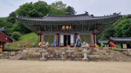 [116차] 치악산 구룡사 황장목숲길 정기 산행 - 정기산행 공지/신청 - 안양 에이스 산악회 [116차] 치악산 구룡사 황장목숲길 정기 산행 