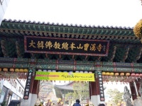 종로 대한불교 총본산 조계사는 노랗게 물들었다.1119 - 공산당 부역자들 - 위 게스트 하우스. 종로 대한불교 총본산 조계사는 노랗게... 