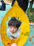 살랑살랑살랑~가을바람 살랑 불어옵니다~! - 산새소리의 일상 - 국공립 꿈샘어린이집 살랑살랑살랑~가을바람 살랑 불어옵니다~!