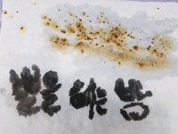 한국로푸드교육연구협회힐링로 | 수련감독전문가과정 교육을 마치며 - 협회 정기 연수 - 한국푸드표현예술치료협회 수련감독전문가과정 교육을 마치며