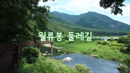 제119차 충북영동 월류봉 둘레길 트레킹 안내 - 트레킹공지및예약 - 자연과 동행 제119차 충북영동 월류봉 둘레길 트레킹 안내