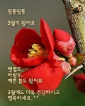 아름다운 금요일 경칩 이미지 - 예쁜 인삿말 이미지 - 세계로미래로 코리아나항공클럽 아름다운 금요일 경칩 이미지