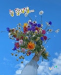 오늘 하루도 축복합니다 - 예쁜 인삿말 이미지 - 세계로미래로 코리아나항공클럽 오늘 하루도 축복합니다