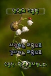 아름다운 일요일 이미지 - 예쁜 인삿말 이미지 - 세계로미래로 코리아나항공클럽 아름다운 일요일 이미지