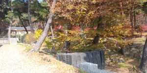 창녕하왕산 관룡사 및 노리마을 가을 찻집 - 아름다운 우리강산 풍경 인물 ... - 코리아나항공 클럽 창녕하왕산 관룡사 및 노리마을 가을 찻집 