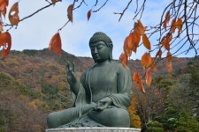 천안 태조산 각원사 좌불상 & 눈 내린 성불사 - 아름다운 우리강산 풍경 인물 ... - 코리아나항공 클럽 천안 태조산 각원사 좌불상 & 눈 내린 성불사 