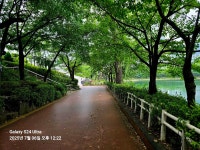 2025/7/6석천호수공원 - 아름다운 우리 강산 자연과 인물, 역사 등등 - 세계로미래로 코리아나항공클럽 2025/7/6석천호수공원