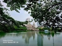 2025/7/6석천호수공원 - 아름다운 우리 강산 자연과 인물, 역사 등등 - 세계로미래로 코리아나항공클럽 2025/7/6석천호수공원
