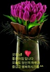 행복한 휴일 되세요 - 예쁜 인삿말 이미지 - 세계로미래로 코리아나항공클럽 행복한 휴일 되세요