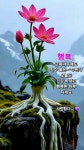 오늘 하루도 축복합니다 - 예쁜 인삿말 이미지 - 세계로미래로 코리아나항공클럽 오늘 하루도 축복합니다
