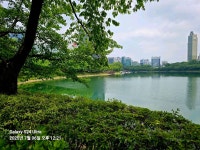 2025/7/6석천호수공원 - 아름다운 우리 강산 자연과 인물, 역사 등등 - 세계로미래로 코리아나항공클럽 2025/7/6석천호수공원