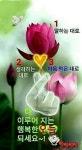 아름다운 일요일 이미지 - 예쁜 인삿말 이미지 - 세계로미래로 코리아나항공클럽 아름다운 일요일 이미지