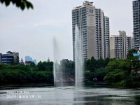 2025/7/6석천호수공원 - 아름다운 우리 강산 자연과 인물, 역사 등등 - 세계로미래로 코리아나항공클럽 2025/7/6석천호수공원