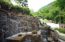 4월 21일(화)경기도 곤지암읍 화담숲 수목원 아름답고 화려한 봄향기... (화)경기도 곤지암읍 화담숲 수목원 아름답고 화려한 봄향기... 