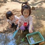 250629 물길놀이*나뭇잎 통통배 - 숲이랑 책이랑 아이돌봄방 - 자연과 함께 행복한 리더로 키우는 성곡어린이집 자연과 함께 행복한 리더로... 