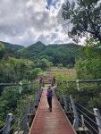 소백산자락길3코스 - 2025년 일요사진 - 예원 산악회 소백산자락길3코스
