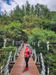 소백산자락길3코스 - 2025년 일요사진 - 예원 산악회 소백산자락길3코스